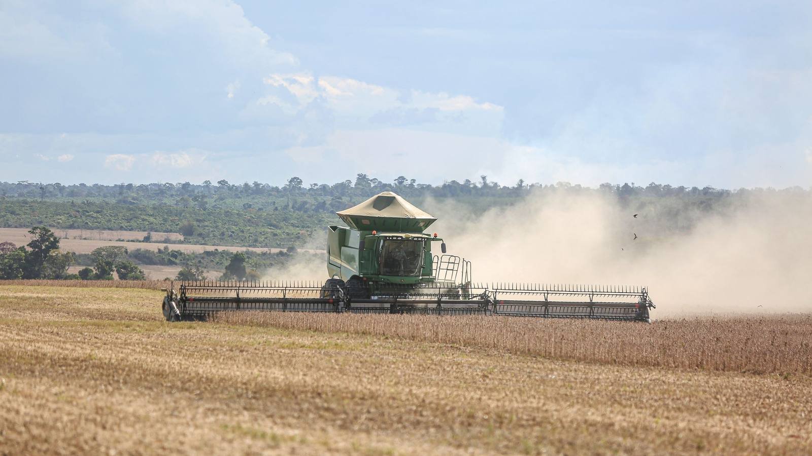Colheitadeira trabalhando em uma lavoura, sob céu aberto